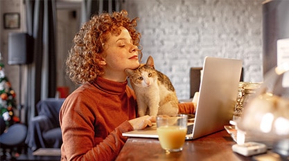 Indoor Cat Pet Insurance