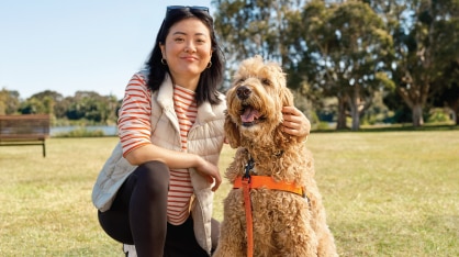Pet Insurance