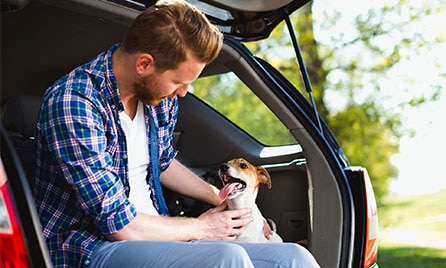Comprehensive Car Insurance
