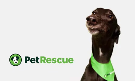 Woolworths and Pet Rescue