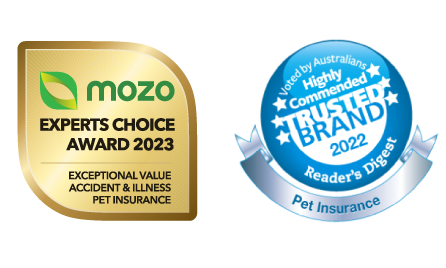Pet Insurance awards