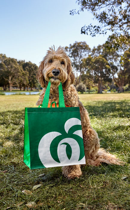 Everyday Pet Insurance