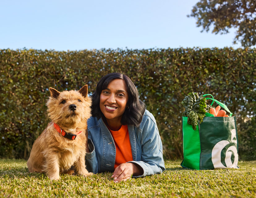 Pet Insurance
