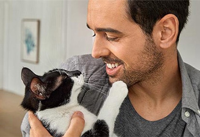 The complete guide to grooming your cat.