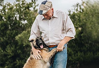 Dog Image 