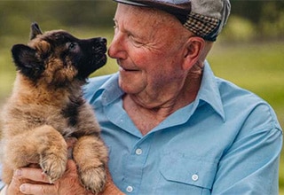Puppy Image 