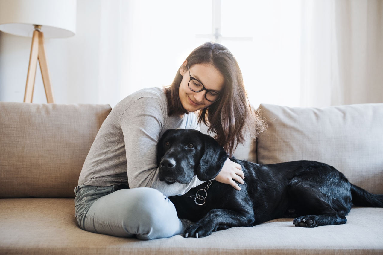 What does pet insurance cover?