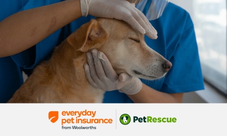 PetRescue