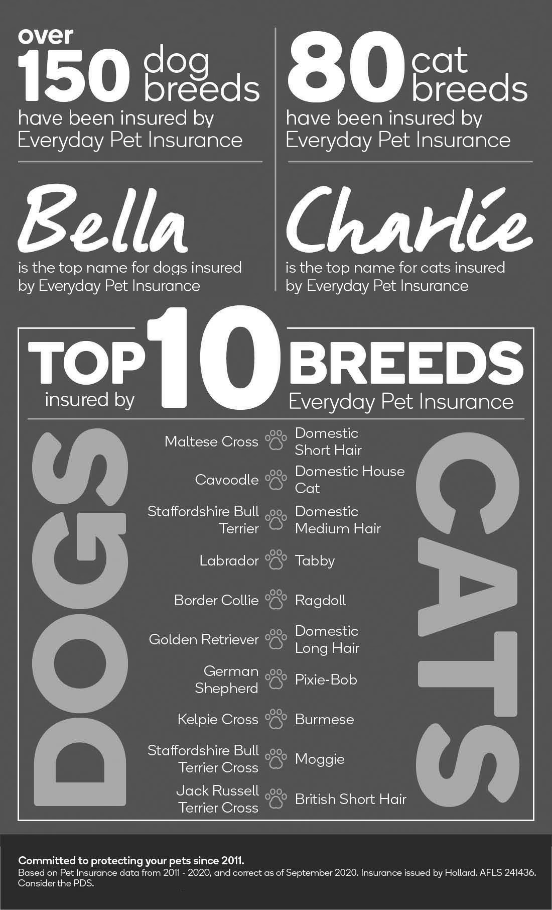breeds infographic