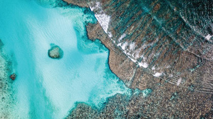 Ningaloo reef