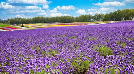 Hokkaido