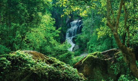 National park