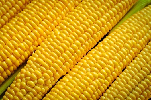 corn
