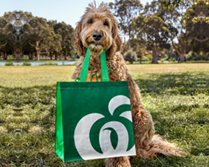Pet Insurance