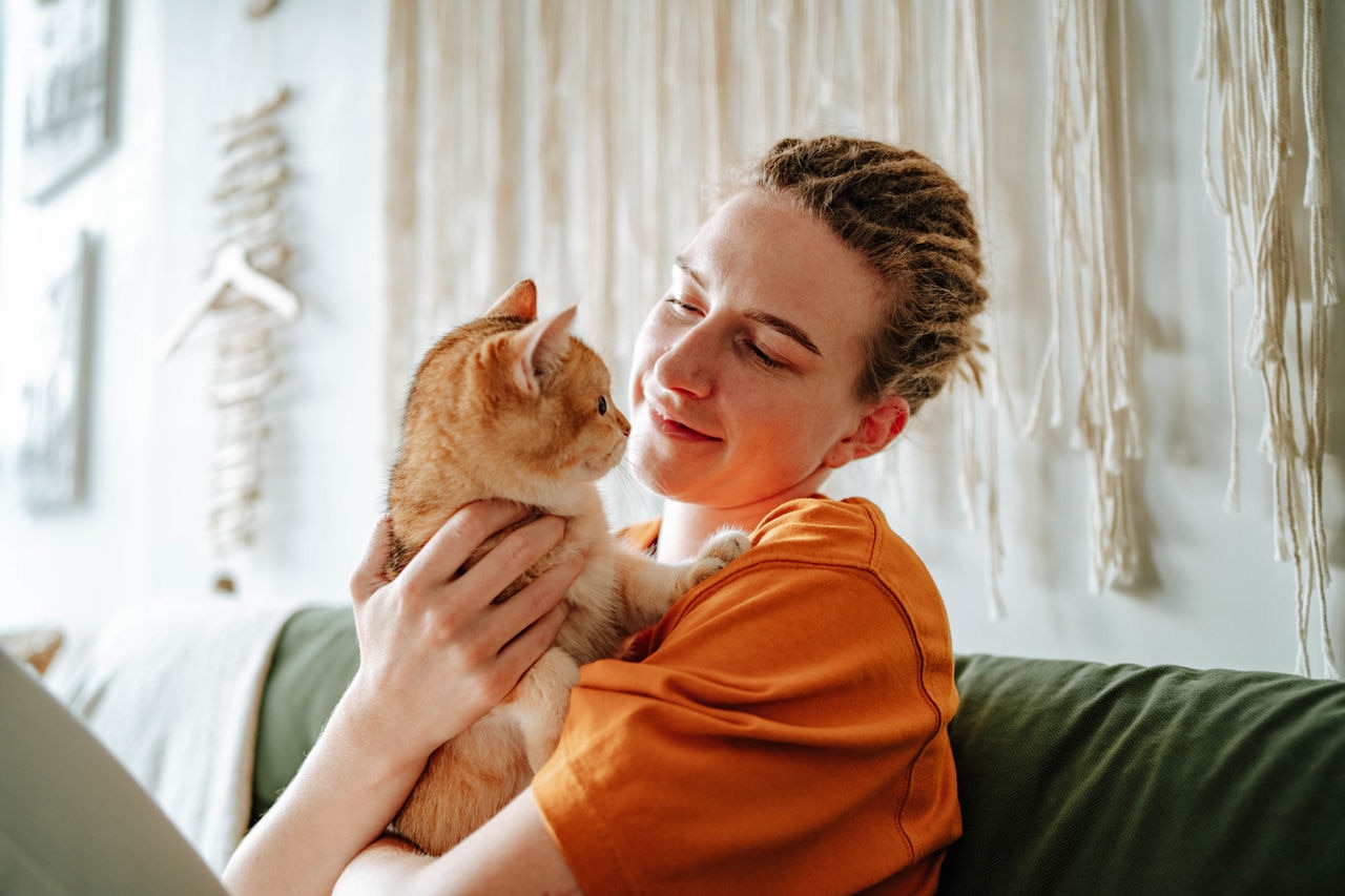 Young woman embracing adorable British shorthair golden cat while sitting on comfortable couch against blurred interior of living room at home