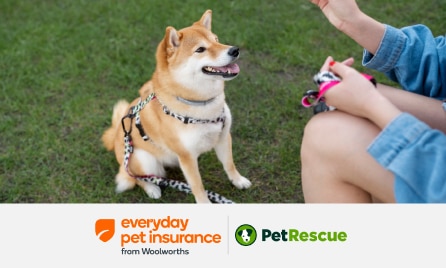 PetRescue