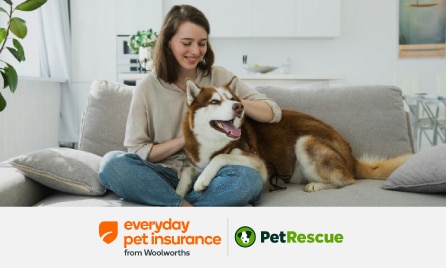 PetRescue