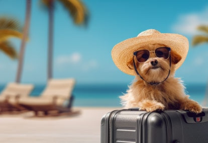 Pet accommodation guide.