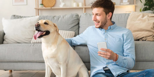 10 most common Pet Insurance claims in dogs.