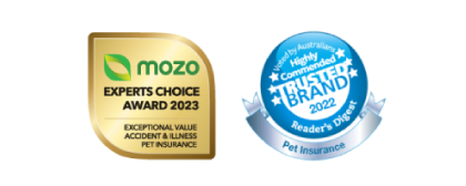 pet awards
