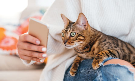 vetassist