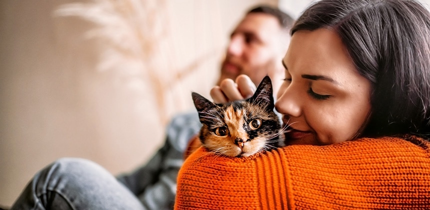 vetassist