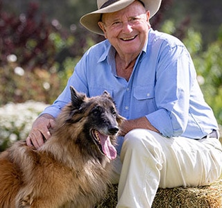 Dog Image 