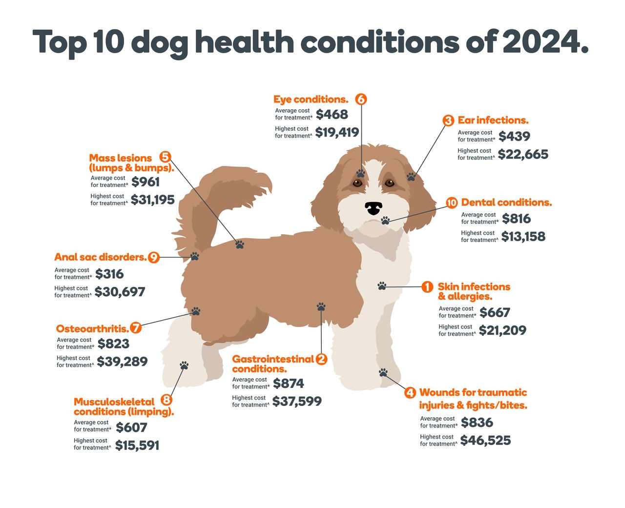 Top 10 dog health conditions of 2024.