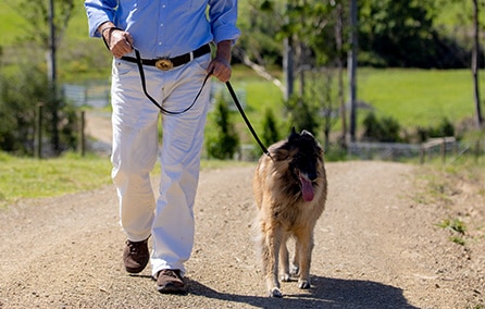 Dr Harry walking his dog on a lead