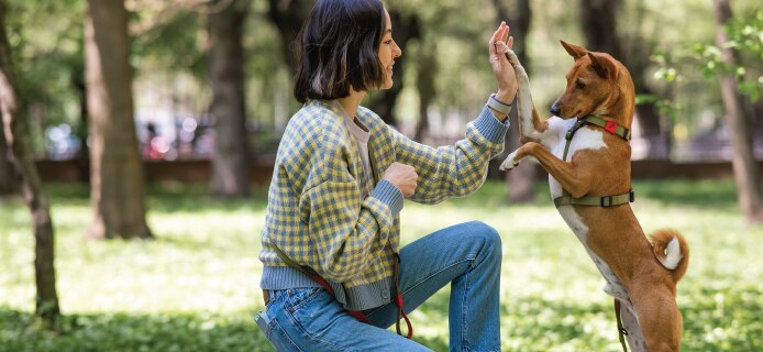 Dog and owner high five