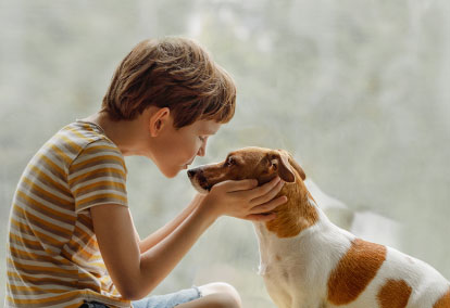 What does pet insurance cover?