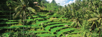 Ubud