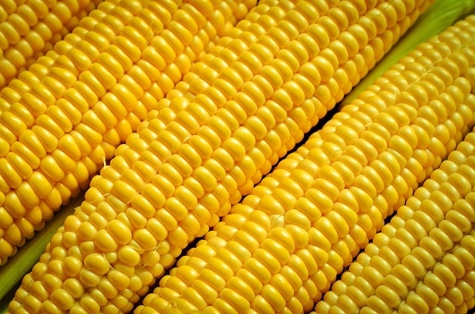 corn