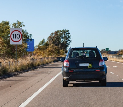 Dog working on a laptop