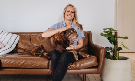 Using an online vet in Australia 