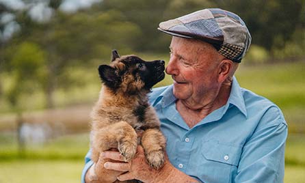 Dr Harry: What to consider when getting a puppy