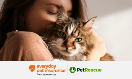 PetRescue