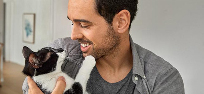 common-cat-care-questions-vetassist