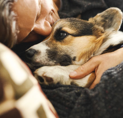 Dog owner hugging puppy