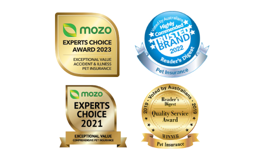 Everyday Pet Insurance awards