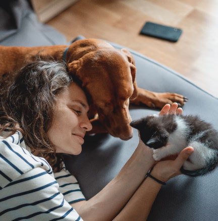 Girl with cat and dog