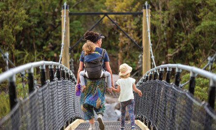 Guide to Travel Insurance and cruises